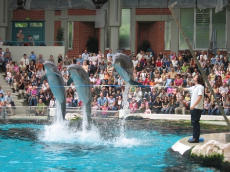 Delfin-Show im Duisburger Zoo-Delfinarium (WDSF-Foto)
