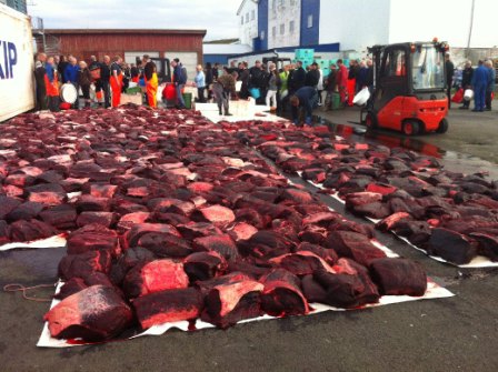 Kostenlose Walfleischverteilung an die Färöer-Bevölkerung